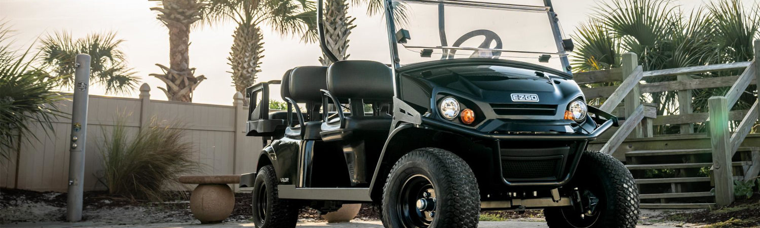 2025 E-Z-GO Golf Cart for sale in Electric Golf Car Company, Citrus Heights, California